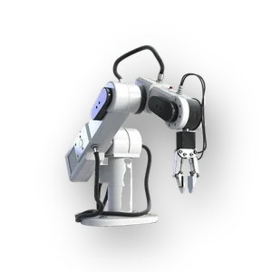 Robot arm with gripper